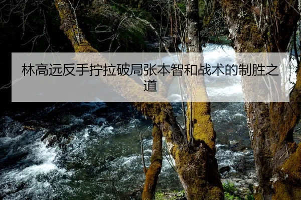 林高远反手拧拉破局张本智和战术的制胜之道