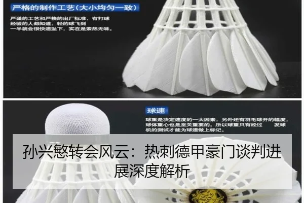 sun-xing-min-zhuan-hui-feng-yun-re-ci-de-jia-hao-men-tan-pan-jin-zhan-shen-du-jie-xi-2-383.jpg