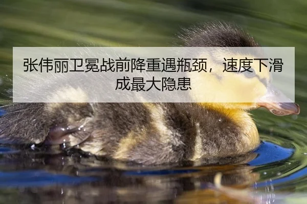 张伟丽卫冕战前降重遇瓶颈，速度下滑成最大隐患