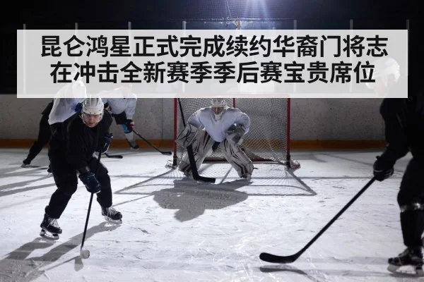 ice hockey game action